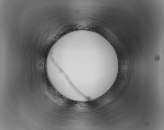 X0000112020603200908241516