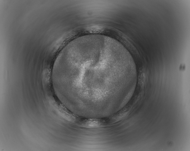 X0000112020604200908241516