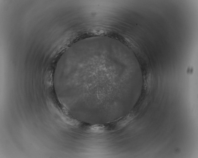 X0000112020606200908241516