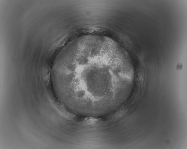 X0000112020607200908241516