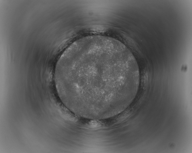 X0000112020608200908241516