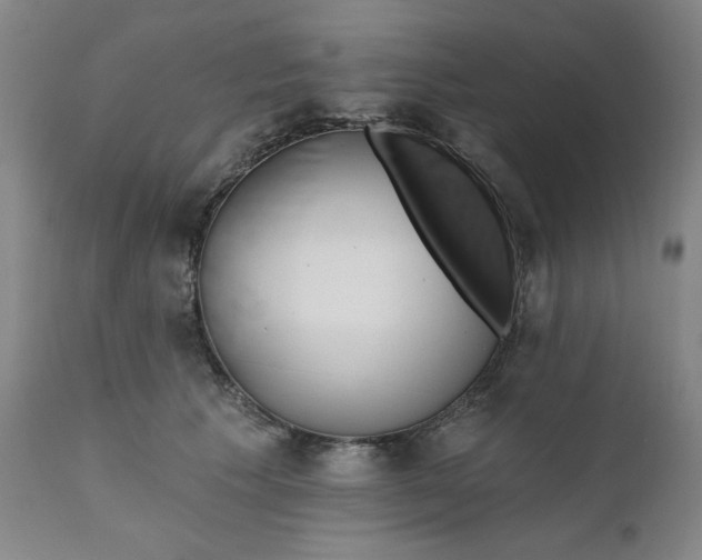 X0000112020609200908241516