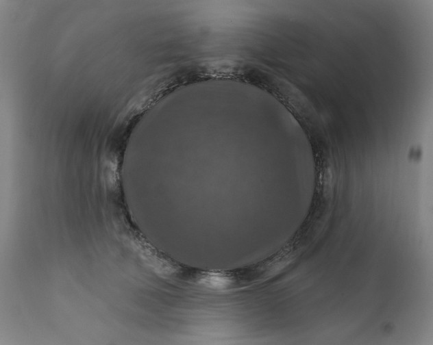 X0000112020610200908241516