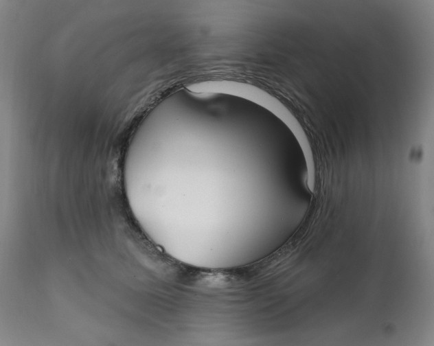 X0000112020611200908241516