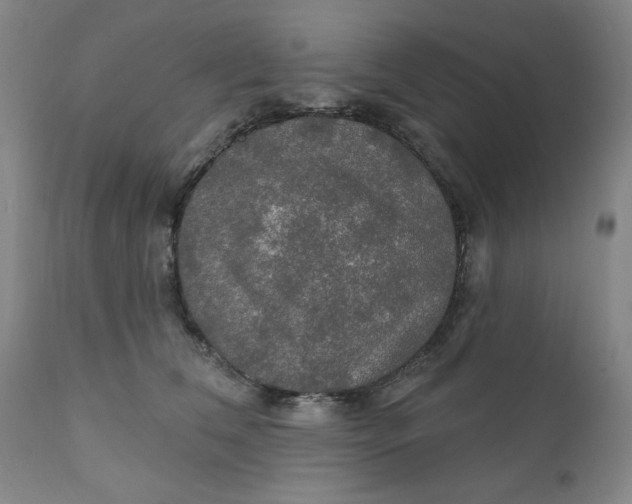 X0000112020612200908241516