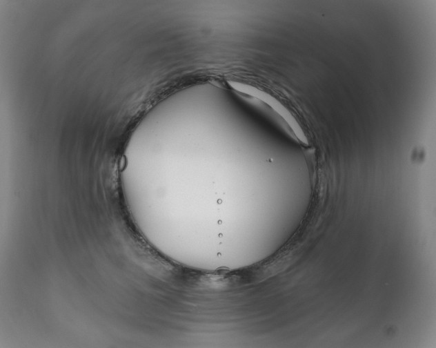 X0000112020613200908241516