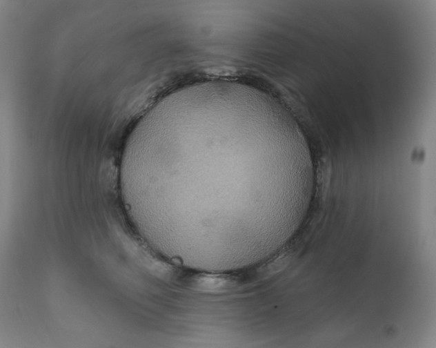 X0000112020614200908241516