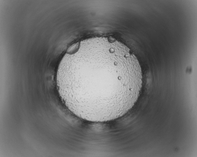 X0000112020615200908241516