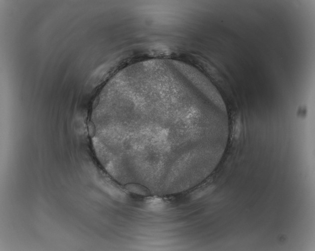 X0000112020616200908241516