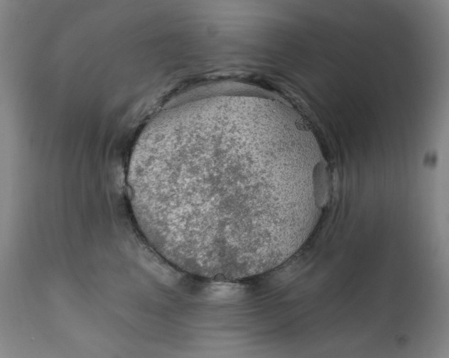 X0000112020617200908241516