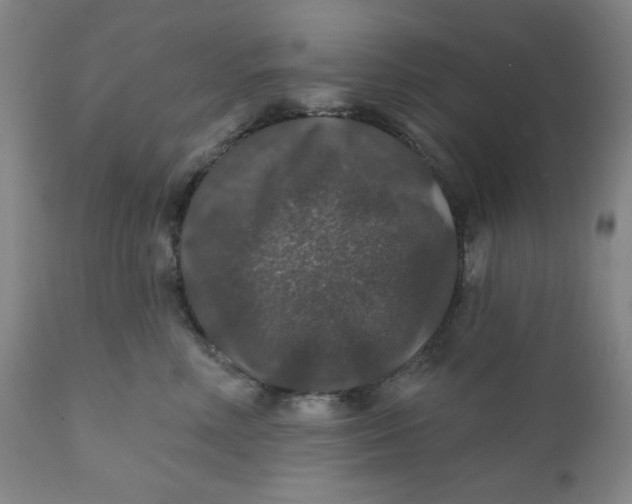 X0000112020618200908241516