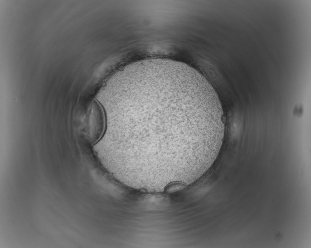 X0000112020619200908241516