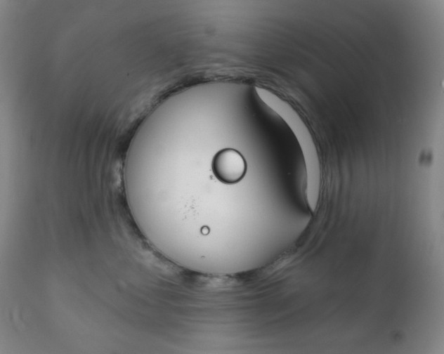 X0000112020621200908241516