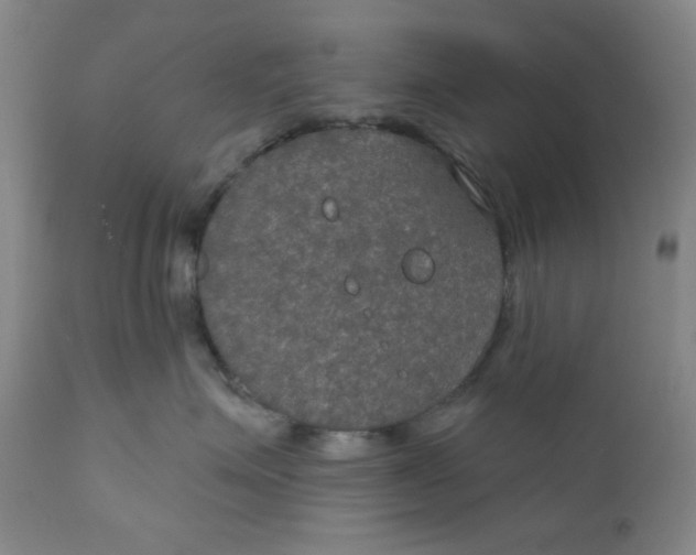 X0000112020623200908241516