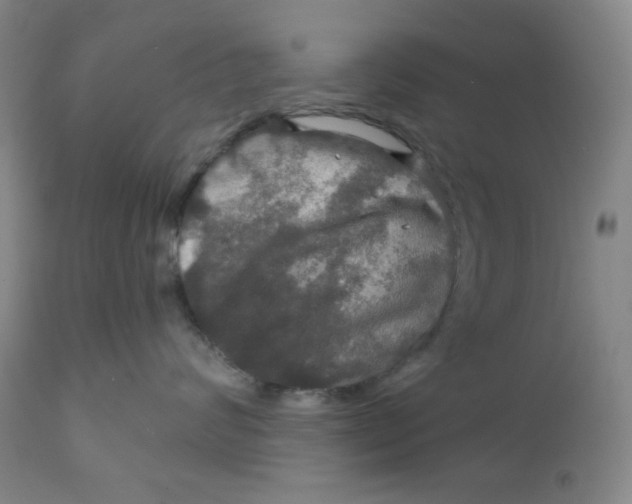 X0000112020624200908241516