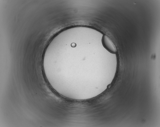 X0000112020625200908241515