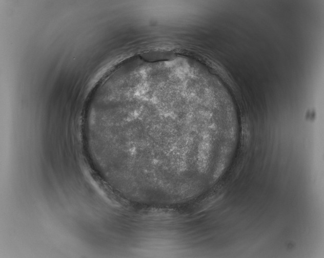 X0000112020626200908241515