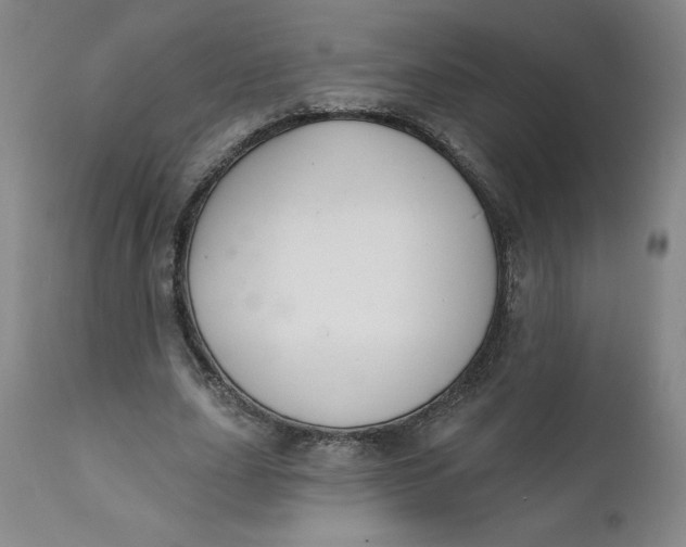 X0000112020631200908241515