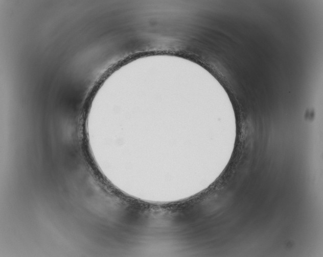 X0000112020632200908241515