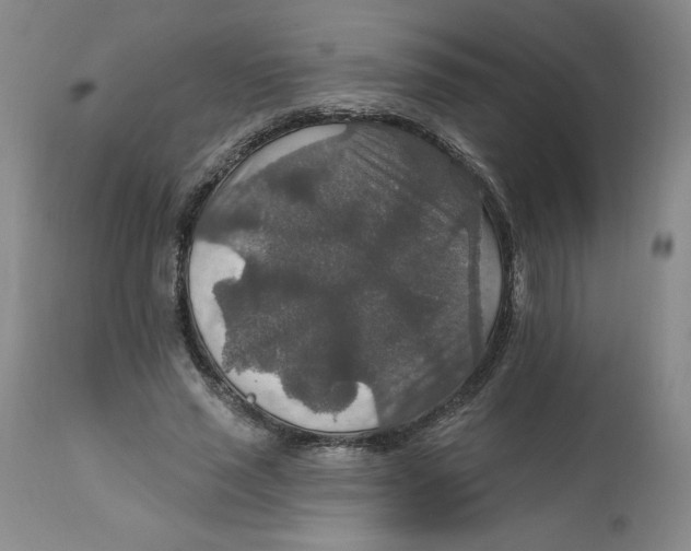 X0000112020637200908241515