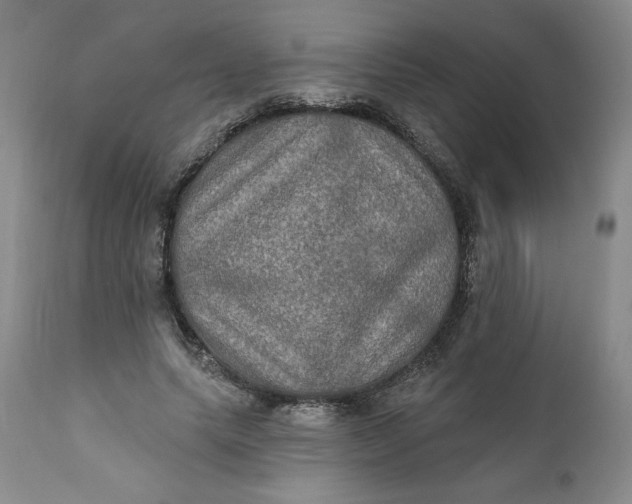 X0000112020639200908241515