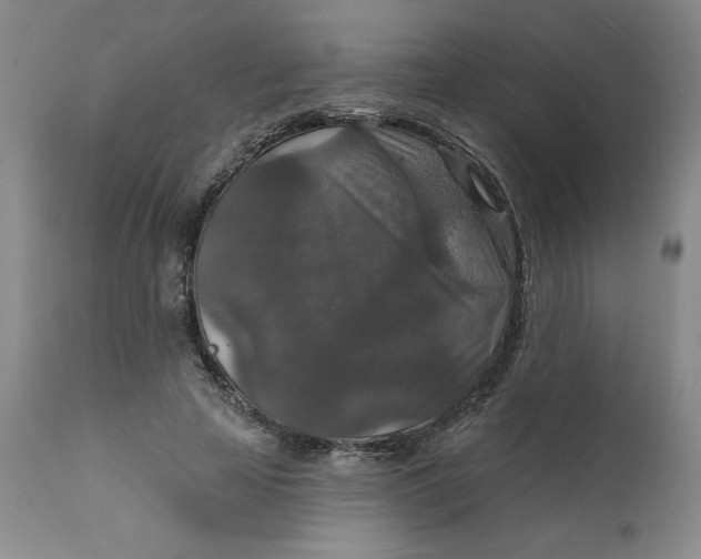 X0000112020641200908241516