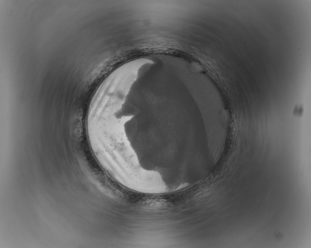 X0000112020642200908241516