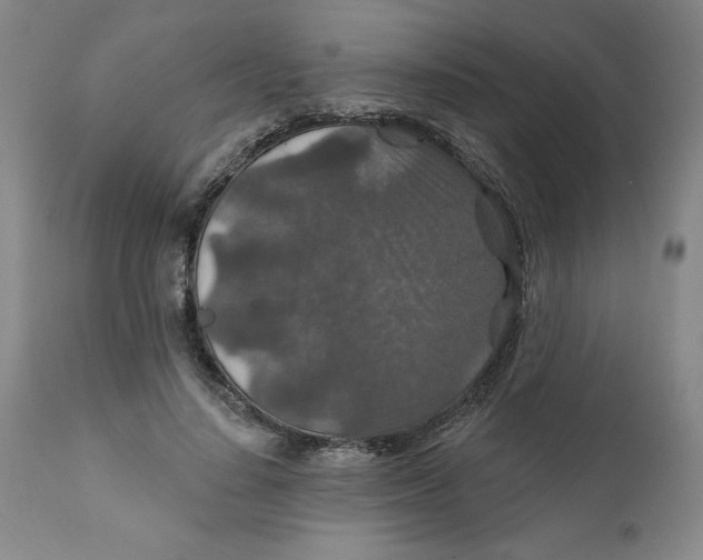 X0000112020644200908241516