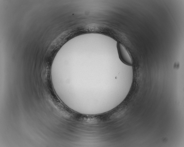 X0000112020645200908241516