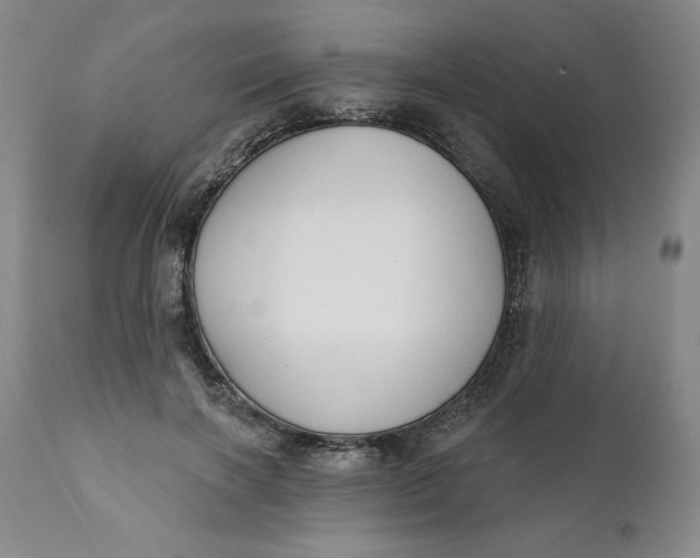 X0000112020646200908241516