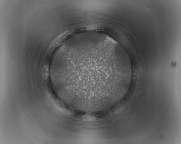 X0000112020648200908241516