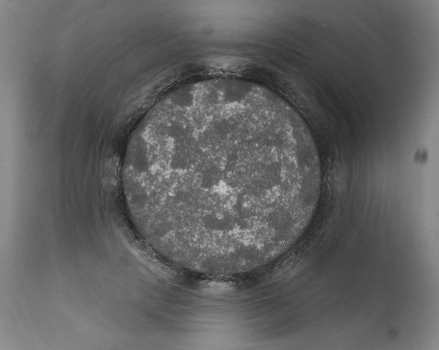 X0000112020649200908241516