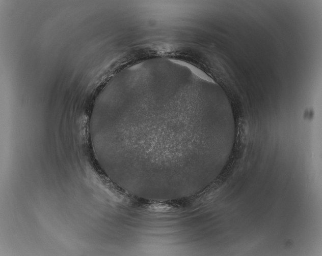 X0000112020650200908241516