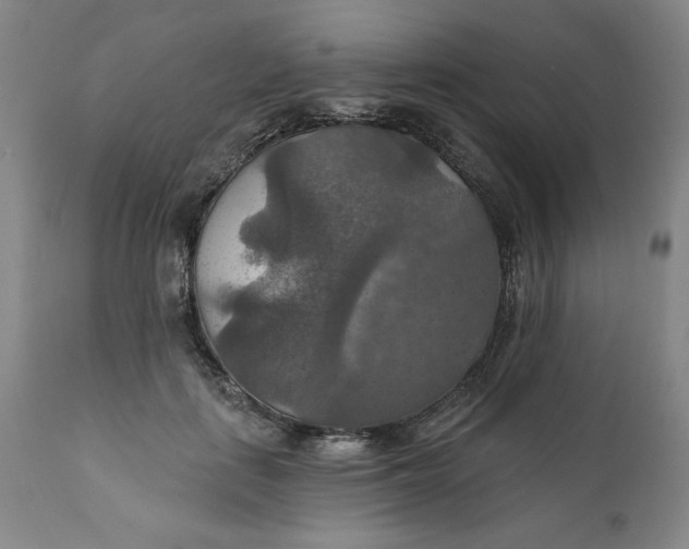 X0000112020651200908241516