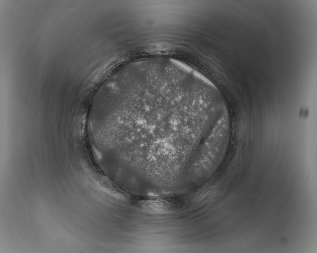 X0000112020652200908241516