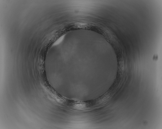 X0000112020653200908241516