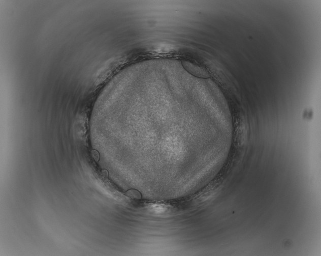 X0000112020654200908241516