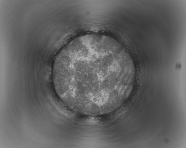 X0000112020656200908241516