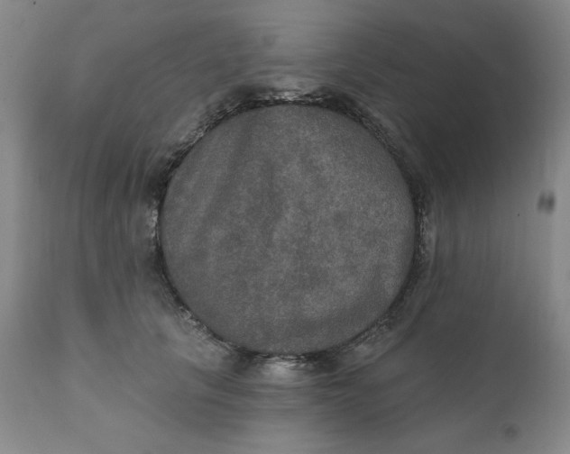 X0000112020657200908241516