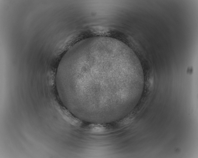 X0000112020658200908241516