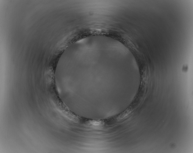 X0000112020659200908241516