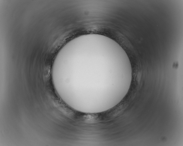 X0000112020660200908241516