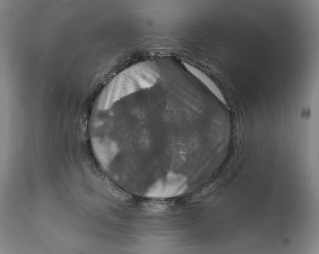 X0000112020661200908241516