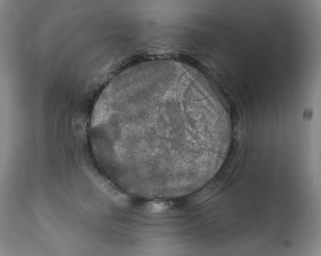 X0000112020662200908241516