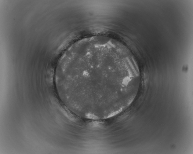 X0000112020664200908241516