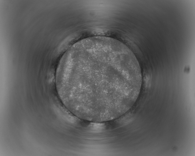 X0000112020665200908241516