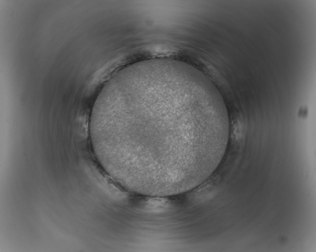 X0000112020666200908241516