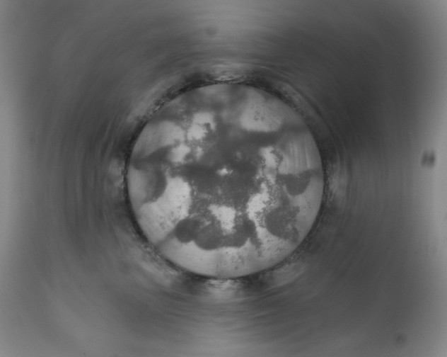 X0000112020667200908241516