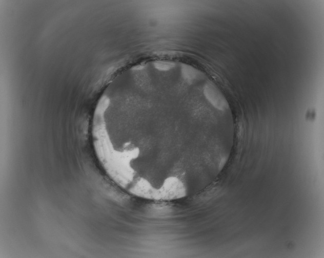 X0000112020668200908241516