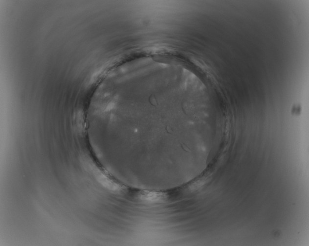 X0000112020670200908241516